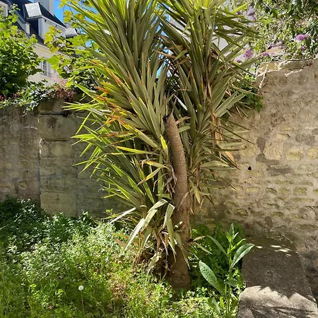 Le Nid D Abbaye アパート カーン